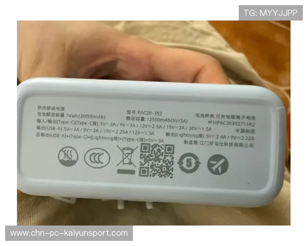 退！退！退！知名品牌集中召回问题充电宝，返还充电宝